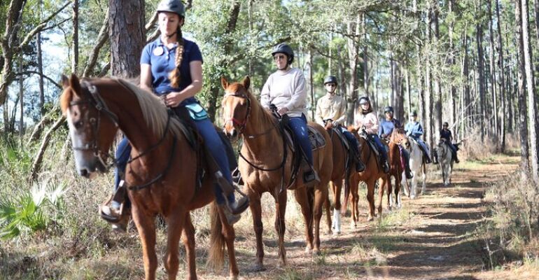 Sorrento Guided Horseback Trail Ride Adventure