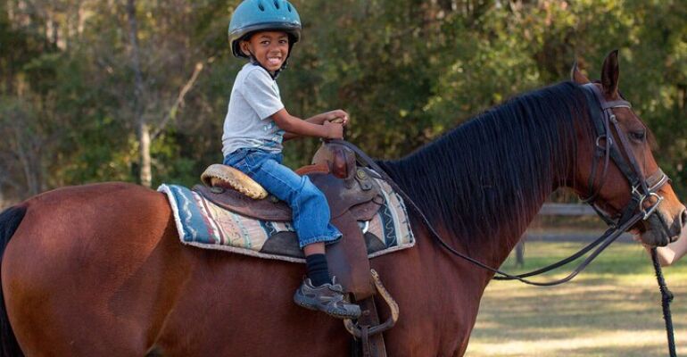 Sorrento Reba's Round-Up Pony Adventure