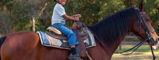 Barn Day for Little Cowboys and Cowgirls