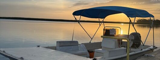 Mermaid Pirate Tours