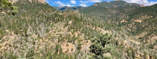 Creek to Peak Hike to Mt. Cutler in Colorado Springs