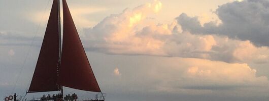 90 Minutes America's Cup Sailing Experience 
