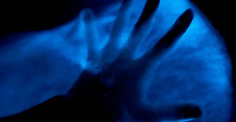 Scottsmoor Bioluminescent Kayak Adventure Experience