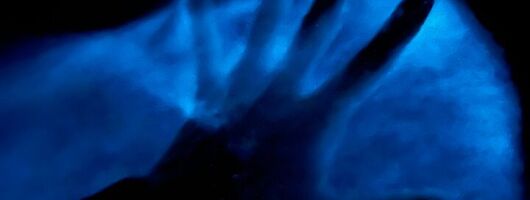 Bioluminescent Kayak Tour in Floridas Indian River Lagoon