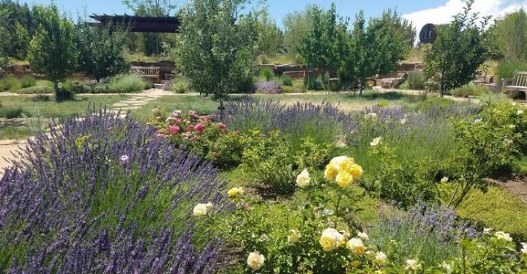 Santa Fe Botanical Garden Nature Experience