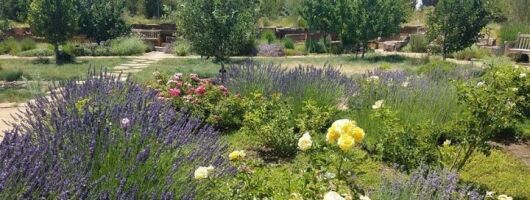 Santa Fe Botanical Garden General Admission Ticket 