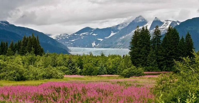 Juneau Private Custom-Tailored Shore Adventure