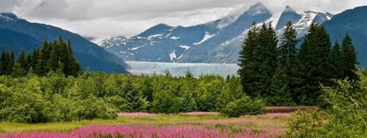Juneau Private 3 Hour Sightseeing Tour with a Local 
