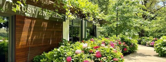 Full-Day VIP Stellenbosch Wine Tour Waterford, Delaire Graff