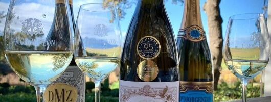 Cape Winelands Private Tour to Stellenbosch and Franschhoek