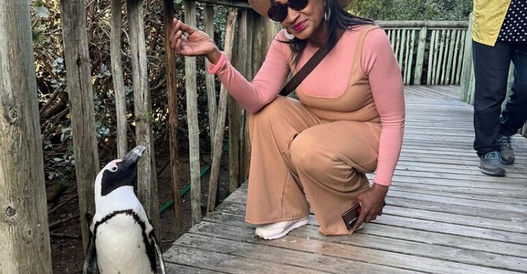 Cape Town Table Mountain and Penguin Adventure