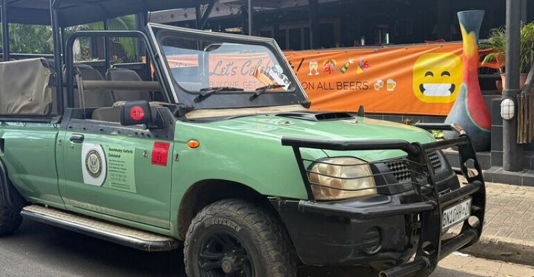 iSimangaliso Wetland Park Safari Drives Experience