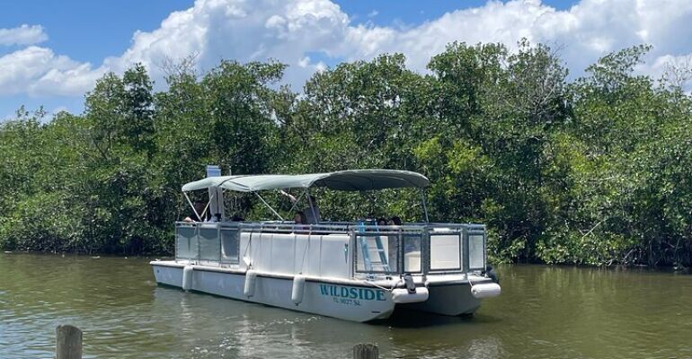 Cocoa Beach Dolphin Eco Cruise Adventure