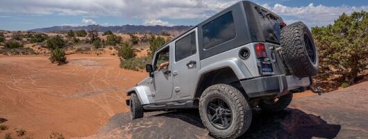 Fins and Things 4x4 Adventure - Explore in Comfort 