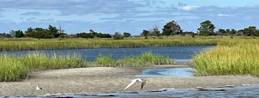 Masonboro Island Ferry