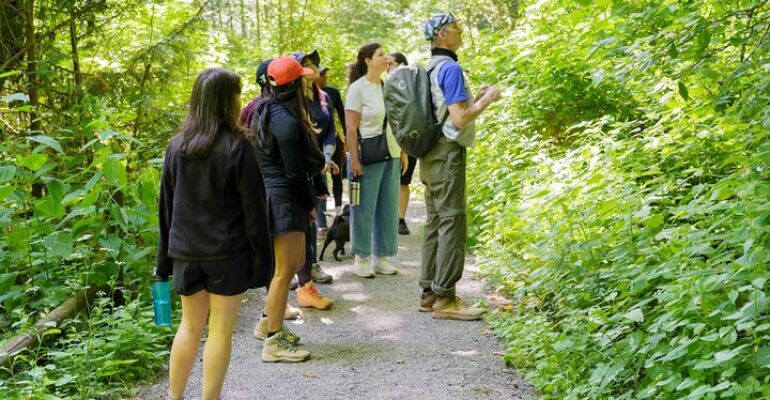 Newcastle Guided Coal Creek History Hike