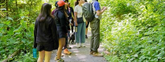 Trails Through Time Bellevue Coal Creek History Hike