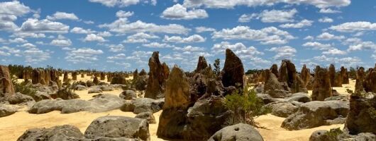 Pinnacles Day Tour