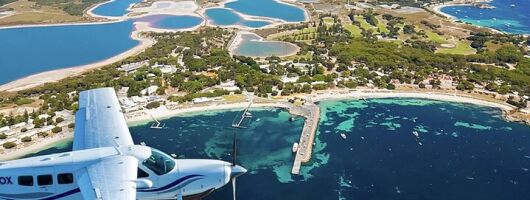 Quokkas Delight Rottnest Island