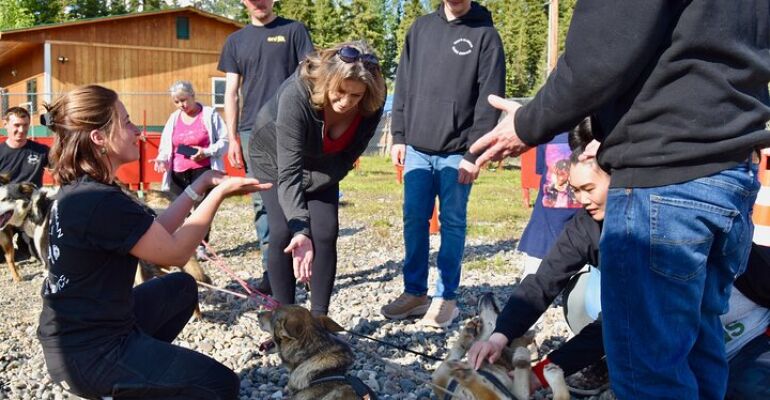 Fairbanks Alaskan Huskies Summer Adventure Experience