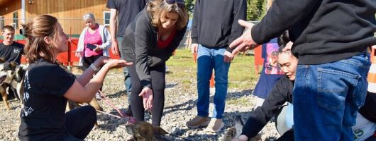 Fairbanks Sled Dog Adventure with Campfire & S'mores