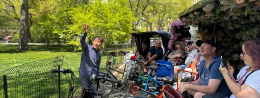 Central Park Private Guided Tours 