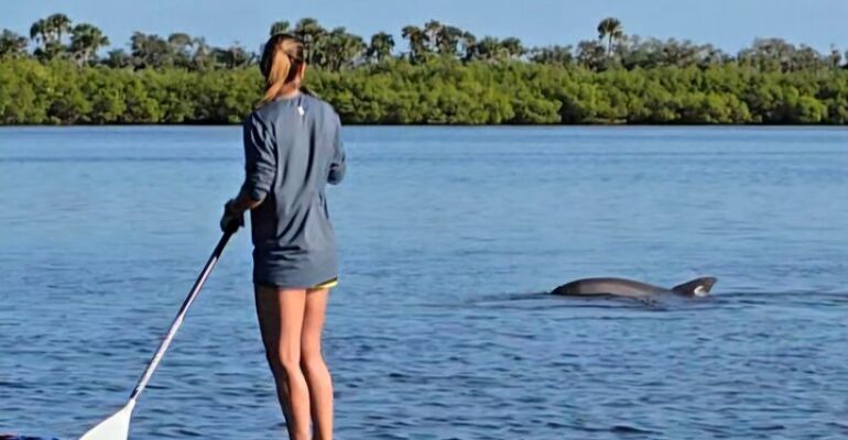 Edgewater Scenic Dolphin and Manatee Tour