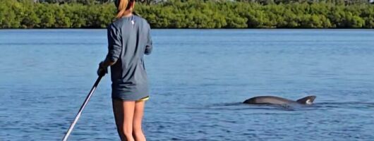 Paddle With Native Wildlife