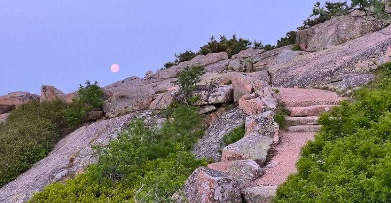Mount Desert Island Scenic Jeep Tour