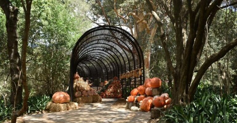 Cape Town Private Winelands Tour Experience