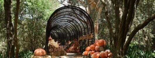 Full Day Stellenbosch Winelands Private Tour from Cape Town