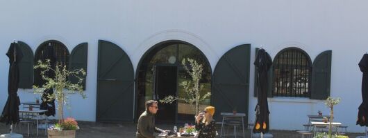 Cape Town Table Mountain and Constantia Wine Tasting tour 
