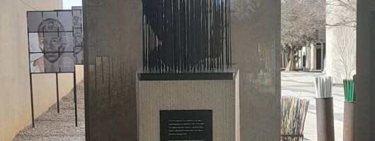Soweto and Apartheid museum Tour