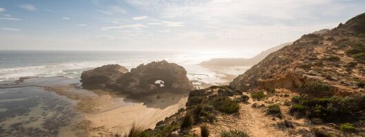 Mornington Peninsula Private Day Tour