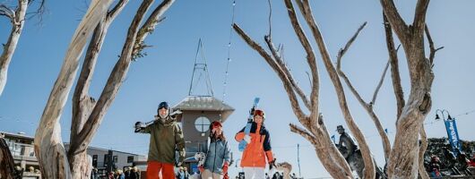 Mount Buller Day Tour from Melbourne