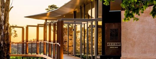 Premium Private Winery Tour: Customizable Experience