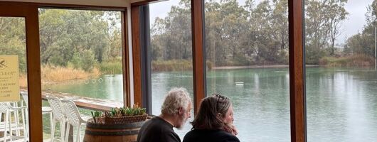 Private Luxury or Sports Car Tour with Penfolds and Hills Picnic