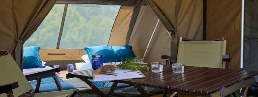 2 Night Rainforest Glamping Adventure near Byron Bay