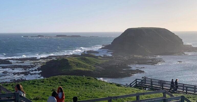 Melbourne Phillip Island Wildlife Adventure Tour