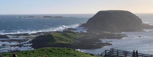 Private Melbourne Tour: Phillip Island and Chocolate Factory