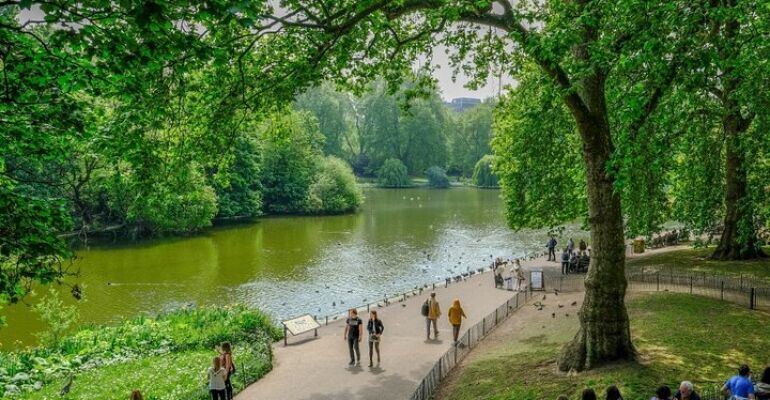 London Landmark Walking Tour and Pub Stop
