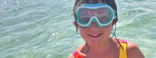 4hr Boat Tour in Anna Maria Island Snorkeling, Dolphin Watching 