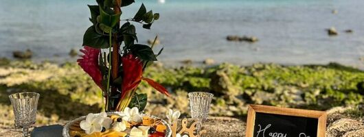 Luxury Picnic Experience in Honolulu Hawaii
