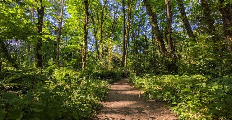 Portland Nature Identification Hiking Tour