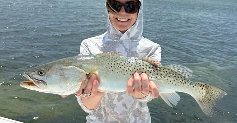 Sarasota Fishing Charter and Dolphin Watching