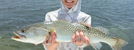 Half Day Inshore and Nearshore Fishing Charter in Sarasota