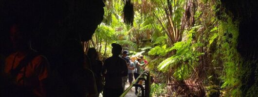 The Real Big Island: Volcanoes, Waterfalls, Beaches & Lunch