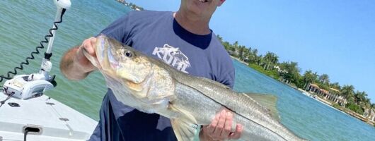 Half-Day Backwater Fishing in Naples, Florida
