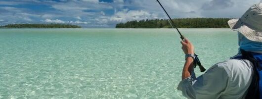 Naples Half-Day Fly Fishing Activity