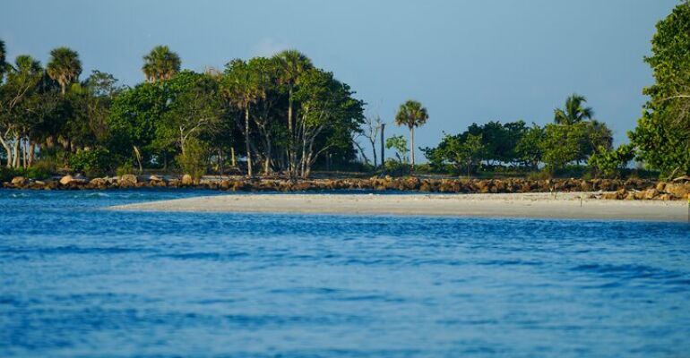 Naples Private Eco Tour and Shelling Adventure